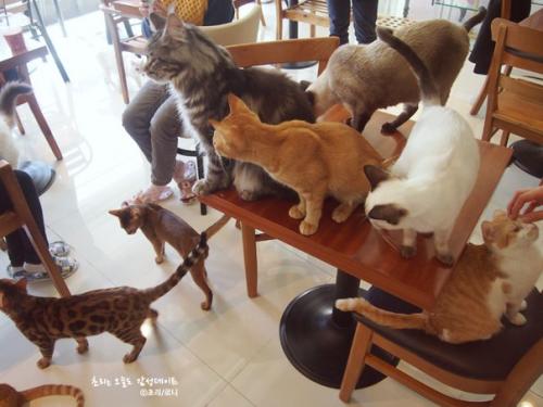 Южная Корея. 3 пост. 05 Южная Корея. 3 пост. 05