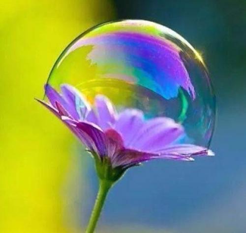 Почаще устраивайте себе разгрузочный день: 04