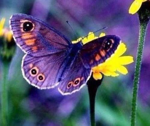 Почаще устраивайте себе разгрузочный день: 01