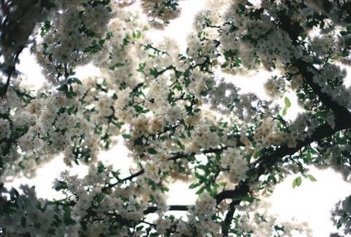 Фотоальбом лета. Мы забираем к себе на страницу. 04 Фотоальбом лета. Мы забираем к себе на страницу. 04