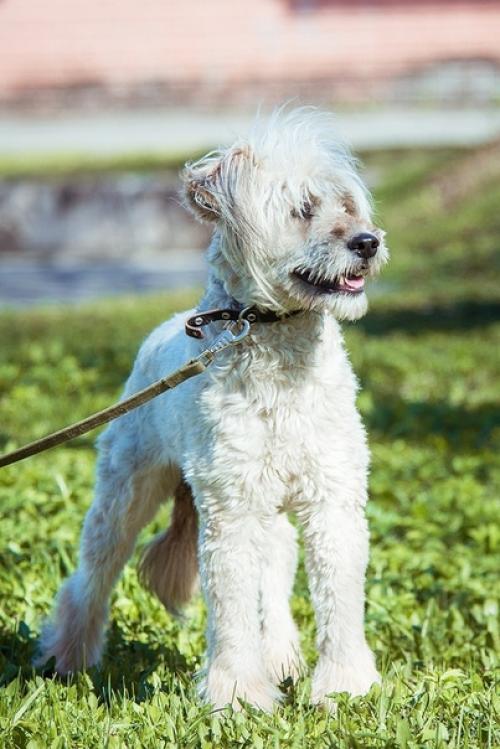 В добрые руки. 02 В добрые руки. 02