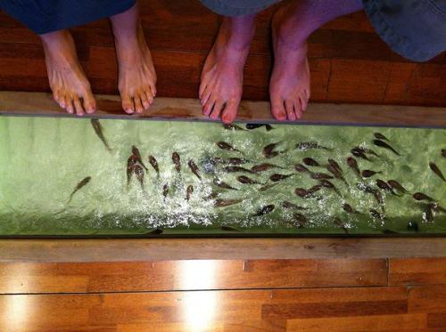 Южная Корея. 3 пост. 02 Южная Корея. 3 пост. 02