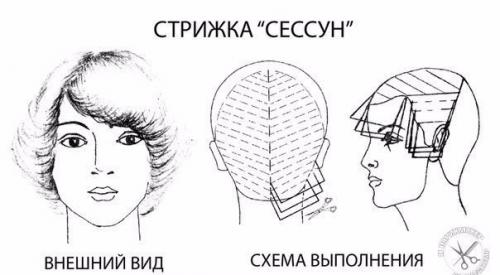 Стрижка Сессун видео. 01 Стрижка Сессун видео. 01