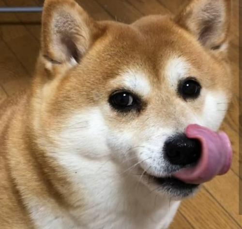 Окей, я попробовал сделать эту штуку с помощью рандомайзера. 01