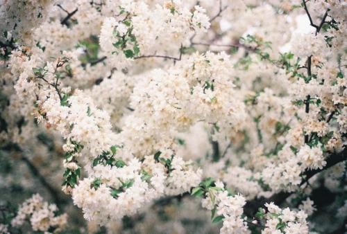 Фотоальбом лета. Мы забираем к себе на страницу. 02 Фотоальбом лета. Мы забираем к себе на страницу. 02