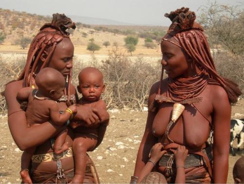 Проект Пока они не Исчезли. 03 Проект Пока они не Исчезли. 03