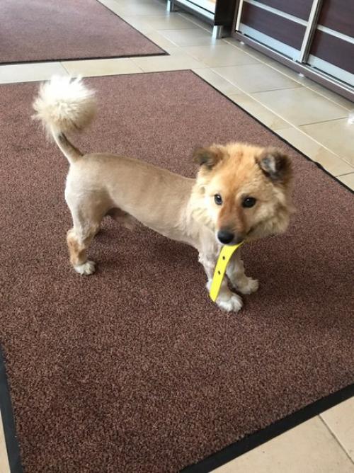 Пожалуйста опубликуйте ещё раз. 06