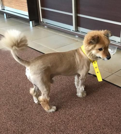 Пожалуйста опубликуйте ещё раз. 05