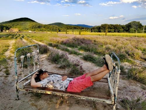 Maison Des Plantes Aromatiques. 03 Maison Des Plantes Aromatiques. 03