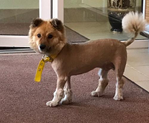 Пожалуйста опубликуйте ещё раз. 03