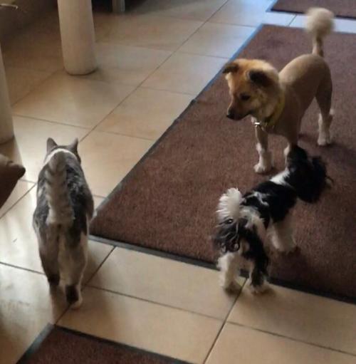 Пожалуйста опубликуйте ещё раз. 02