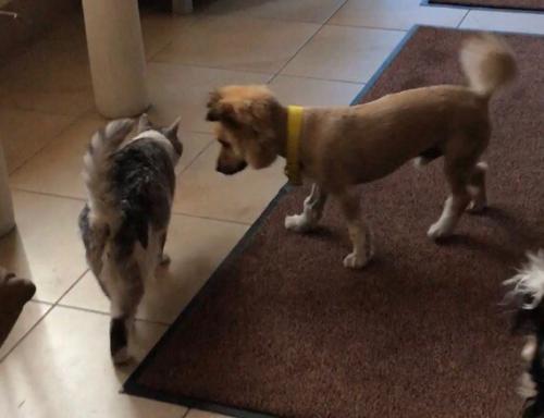 Пожалуйста опубликуйте ещё раз. 01