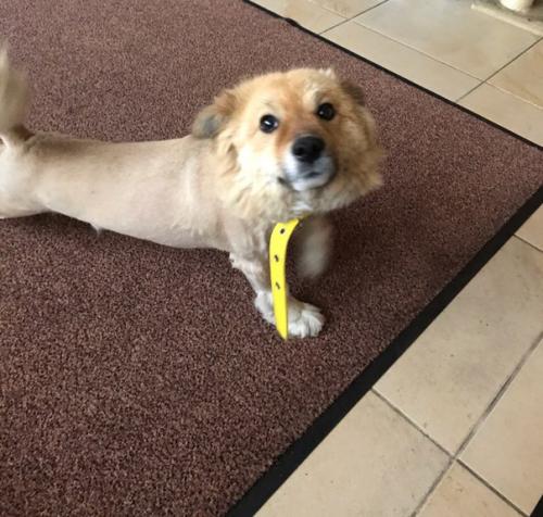 Пожалуйста опубликуйте ещё раз. 04