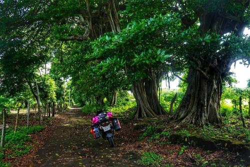 Итак, немного бэкстейджа. 05