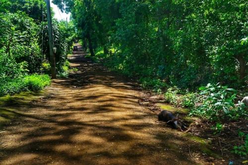 Итак, немного бэкстейджа. 06