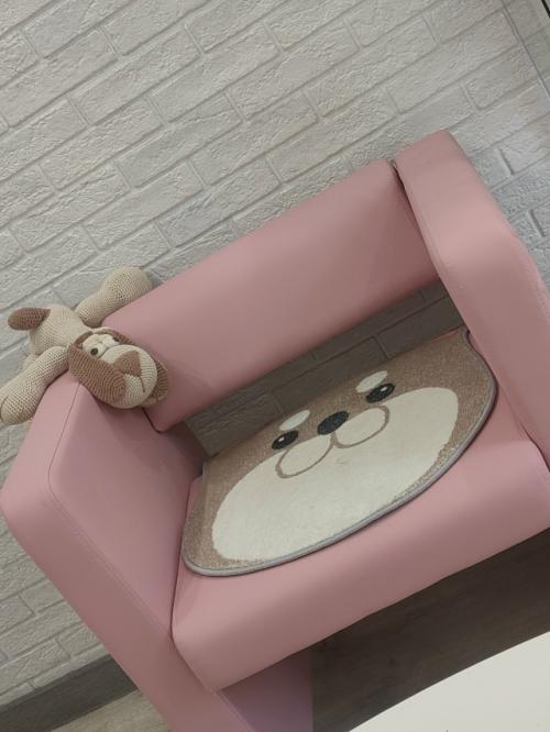 Грумингсалон_Hellodoggy. Джессика. 02