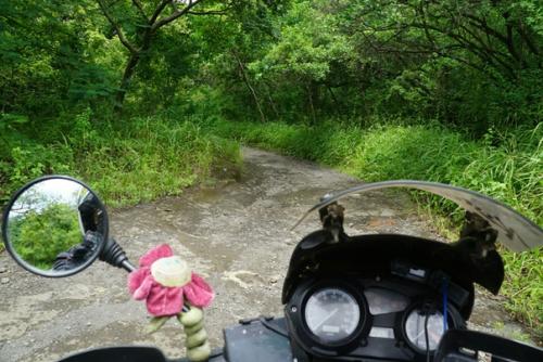 Итак, немного бэкстейджа. 01