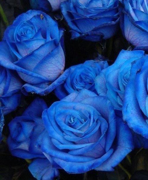 Всем прекрасного, доброго утра! 02