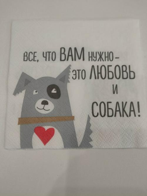 Грумингсалон_Hellodoggy. Джессика. 03