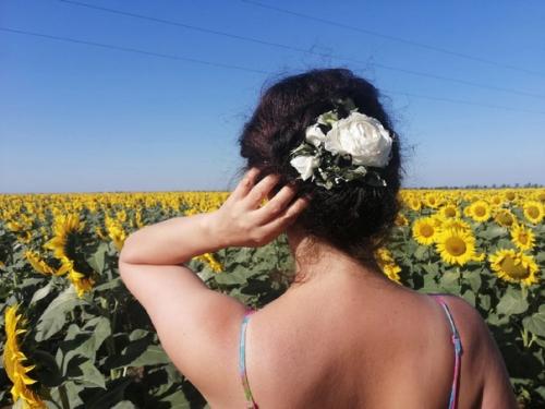 У вас есть фотосессия с подсолнухами. 03