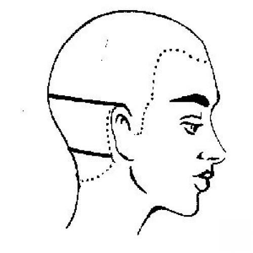 Зона стрижка. Теменная зона головы. Парикмахер разметка головы. Средняя затылочная зона. Средняя затылочная зона головы.