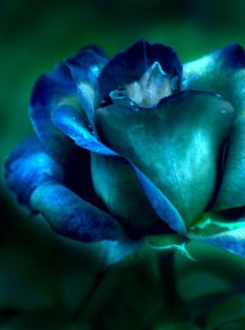 Всем прекрасного, доброго утра! 03