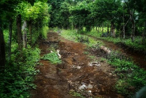 Итак, немного бэкстейджа. 07