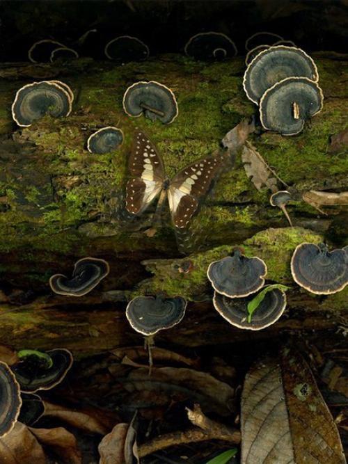 Дела, которые придают силу женщине. 03 Дела, которые придают силу женщине. 03