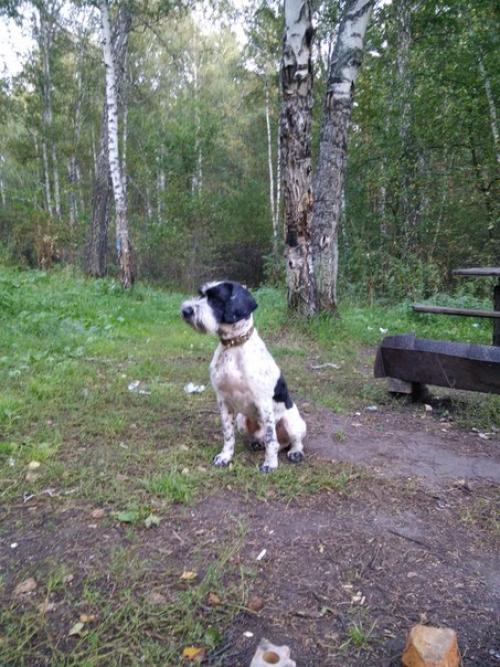 Привет!  Меня зовут Джек, можно ласково Джеки или джекуша. 03