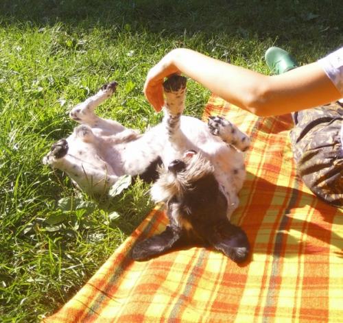 Привет!  Меня зовут Джек, можно ласково Джеки или джекуша. 02