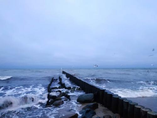 Начался новый год, и пусть с ним начнется что-то новое и особенное. 01 Начался новый год, и пусть с ним начнется что-то новое и особенное. 01