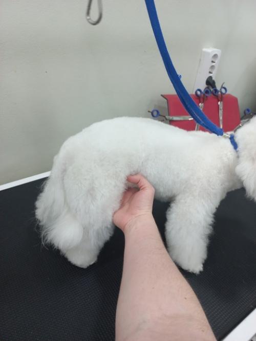 Можете меня поздравить! 01