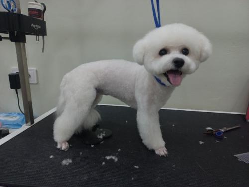 Можете меня поздравить! 03