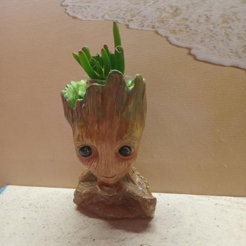 Да простят меня за отсутствие памяти суккулентошные боги. 01