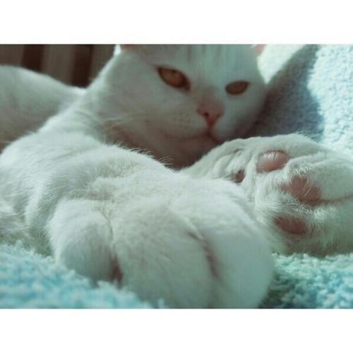 Я попробую рассказать о себе. 03 Я попробую рассказать о себе. 03