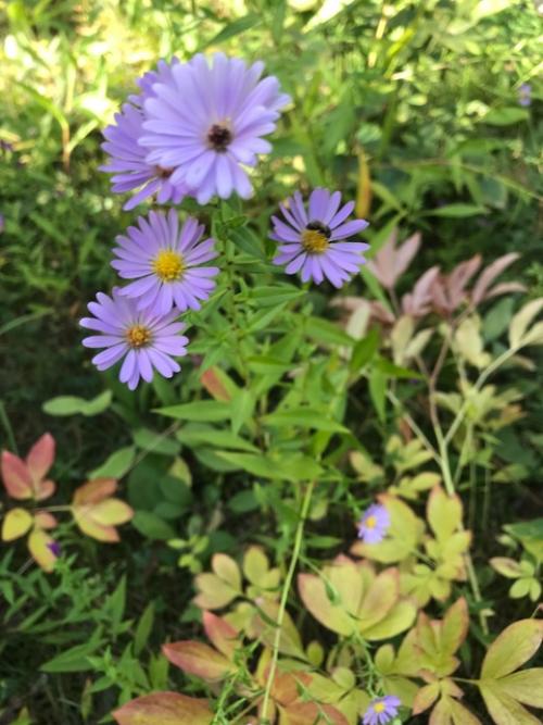 Провожая сентябрь …. 08