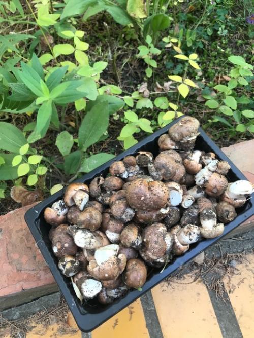 Провожая сентябрь …. 06