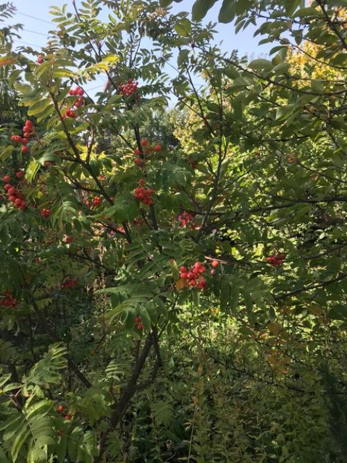 Провожая сентябрь …. 03