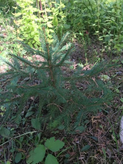 Провожая сентябрь …. 01