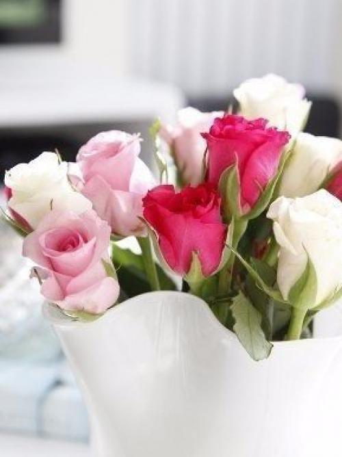 Apols (сокр.  От Apologies) - извинения. 01 Apols (сокр.  От Apologies) - извинения. 01