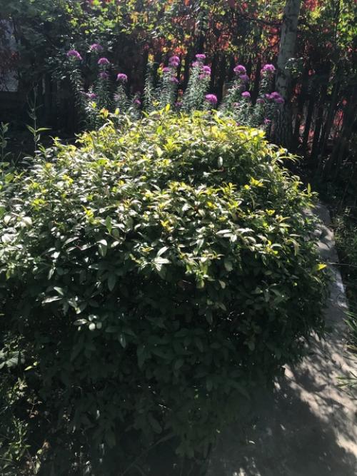 Провожая сентябрь …. 02