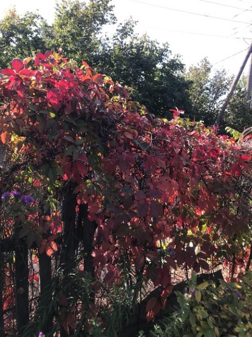 Провожая сентябрь …. 04