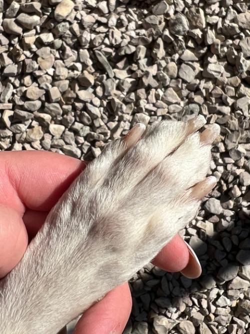 Хочу поделится своим отзывом и услышать еще ваши мнения, вдруг кому-то будет полезно. 02