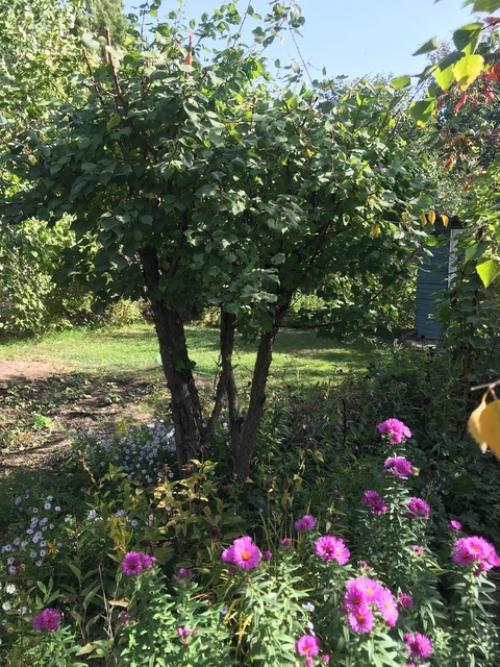 Провожая сентябрь …. 05