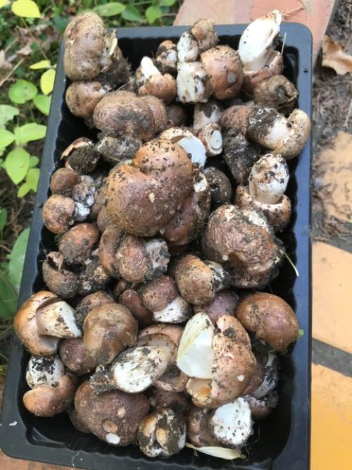 Провожая сентябрь …. 09