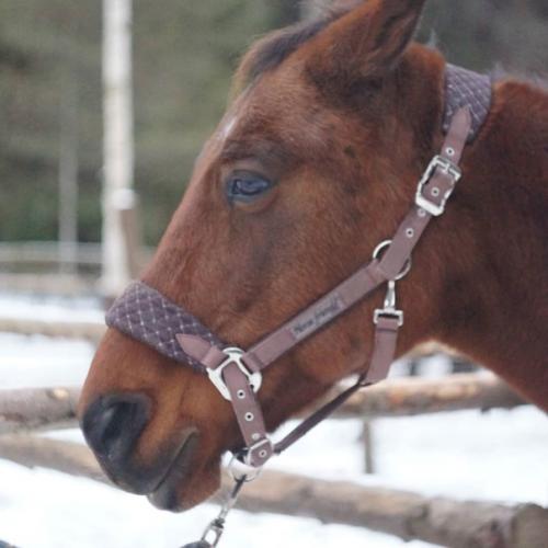 Модные стрижки этого сезона! 01 Модные стрижки этого сезона! 01