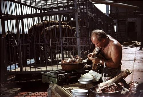 Полосатый рейс. В основе сценария фильма лежит реальная, хотя и трансформированная история. 02 Полосатый рейс. В основе сценария фильма лежит реальная, хотя и трансформированная история. 02