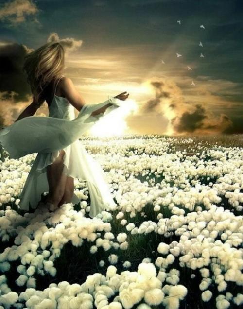 Вы стоите перед красивой дверью в собственное королевство, а на двери висит табличка Вход Воспрещён. 01 Вы стоите перед красивой дверью в собственное королевство, а на двери висит табличка Вход Воспрещён. 01