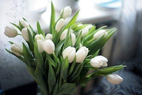 Ученым удалось разгадать одну из главных загадок луны. 01 Ученым удалось разгадать одну из главных загадок луны. 01