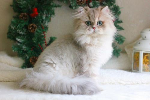 Вообще её зовут Бонни. 01